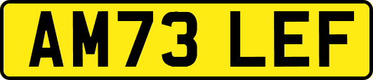 AM73LEF