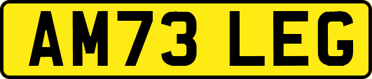 AM73LEG