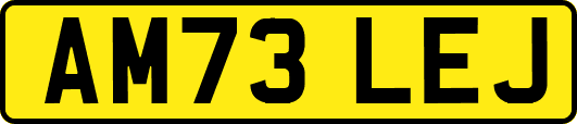 AM73LEJ