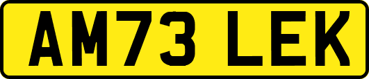 AM73LEK