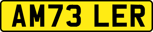 AM73LER