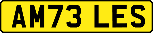 AM73LES