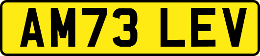 AM73LEV