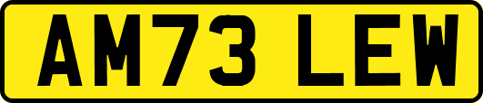 AM73LEW