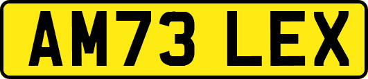 AM73LEX