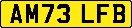 AM73LFB