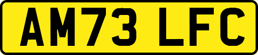 AM73LFC