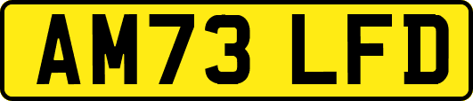 AM73LFD