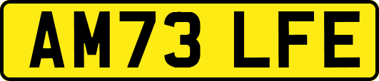 AM73LFE