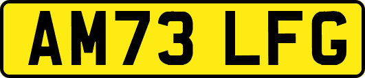 AM73LFG