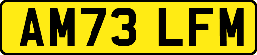 AM73LFM