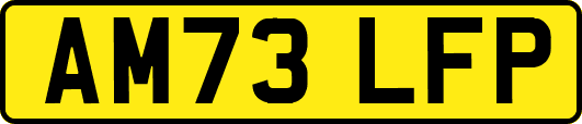 AM73LFP