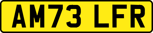 AM73LFR