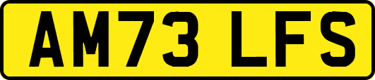AM73LFS