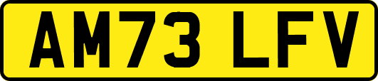 AM73LFV