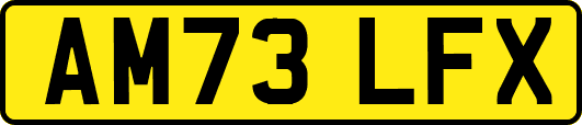 AM73LFX