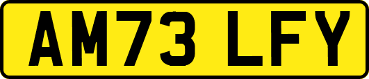 AM73LFY