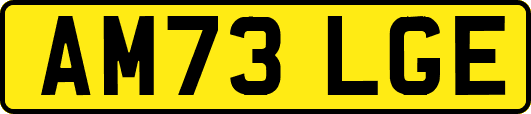 AM73LGE
