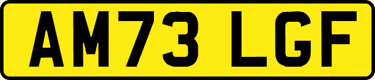 AM73LGF