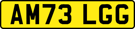 AM73LGG