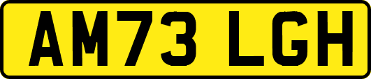 AM73LGH
