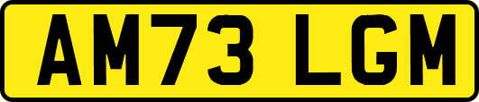 AM73LGM