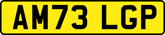 AM73LGP
