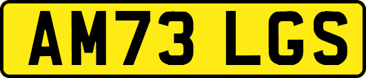 AM73LGS