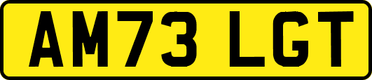 AM73LGT