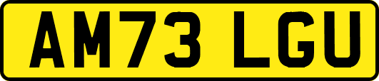 AM73LGU