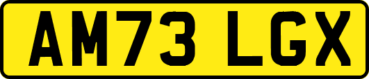 AM73LGX