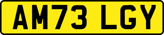 AM73LGY