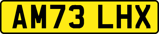 AM73LHX