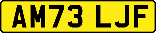 AM73LJF