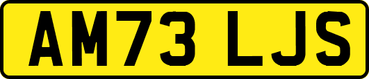 AM73LJS