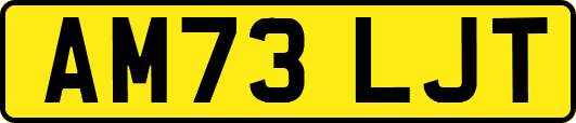 AM73LJT