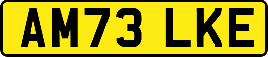 AM73LKE