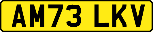 AM73LKV