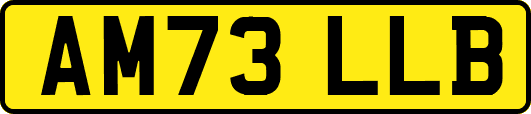 AM73LLB