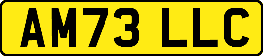 AM73LLC
