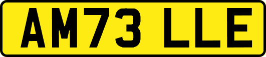 AM73LLE