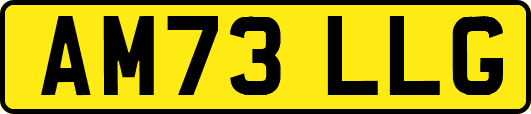 AM73LLG