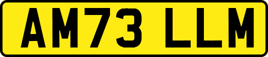 AM73LLM