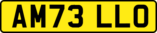 AM73LLO