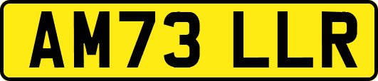 AM73LLR