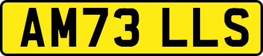 AM73LLS