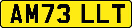 AM73LLT