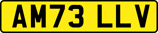 AM73LLV
