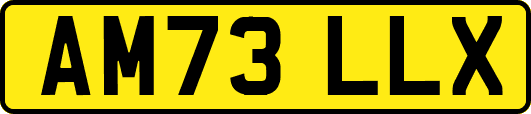 AM73LLX