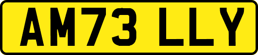 AM73LLY